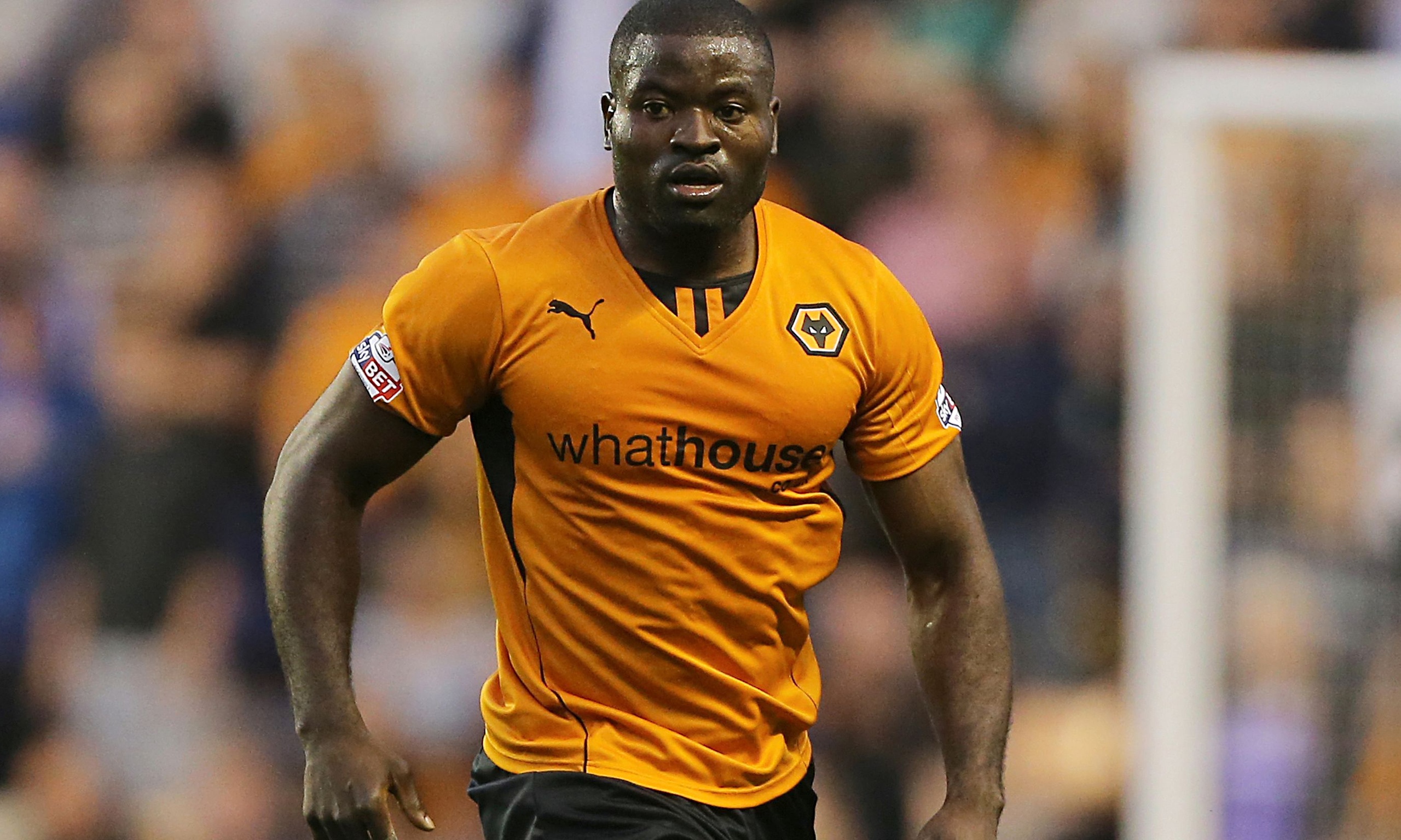 George-Elokobi-of-Wolves-014.jpg