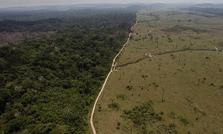 Amazon deforestation increased by one-third in past year