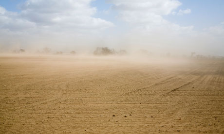 Peak soil: industrial civilisation is on the verge of eating itself