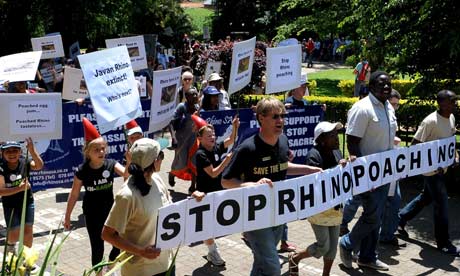 Clinton's directive could prove critical to stamping out the cruel and illegal practice of poaching. Photograph: Li Qihua/Xinhua Press/Corbis