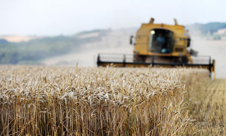 Droughts could hit food production in England in 2020s, report warns. Without action, farmers will face shortfalls of 50% of the water they currently use to grow crops, threatening most fertile areas. Droughts could devastate food production in the England by the 2020s, according to a report from the government's official climate change advisers.