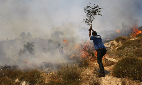 A Palestinian tries to put out a fire started by settlers on the West Bank, where confidential EU reports say violence against Palestinians is increasing. Photograph: Menahem Kahana/AFP/Getty Images