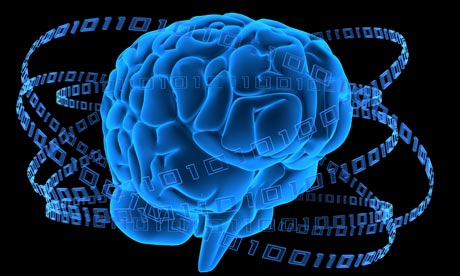 The brain is made up of a series of interlocking systems. Photograph: Sebastian Kaulitzki / Alamy/Alamy