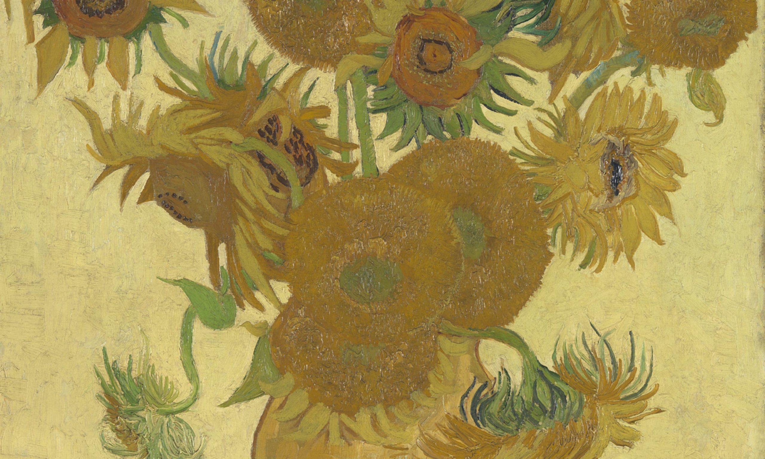 Van Gogh Sunflowers National Gallery Van Gogh Sunflowers to be reunited in National Gallery exhibition | Art