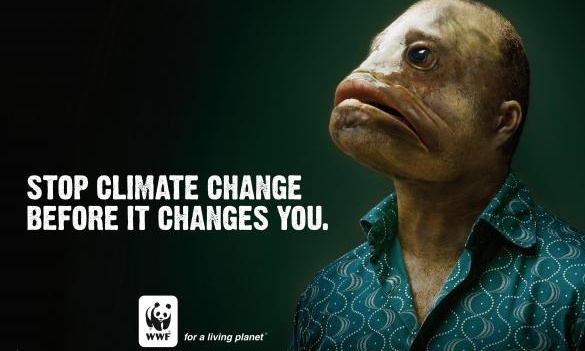 IMPORTANT! Loving our Environment: Climate Change Campaigns IMPORTANT! Loving our Environment: Climate Change Campaigns