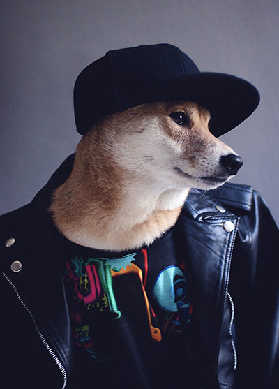 Menswear Dog s best looks in pictures Fashion The 