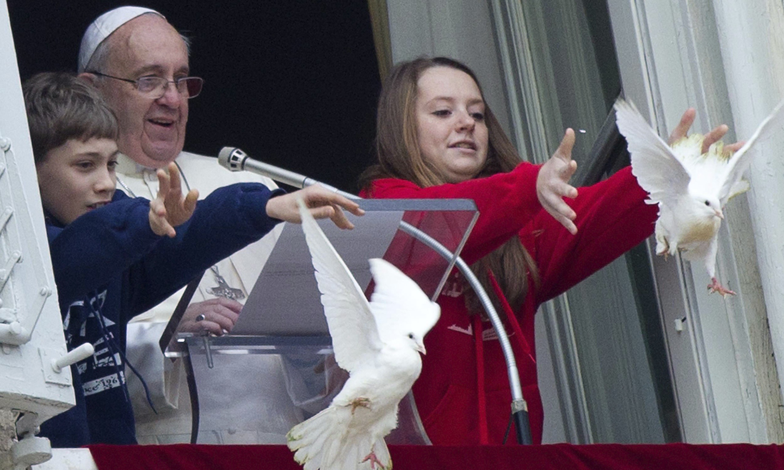 Popes Peace Doves Attacked By Crow And Seagull World News The Guardian
