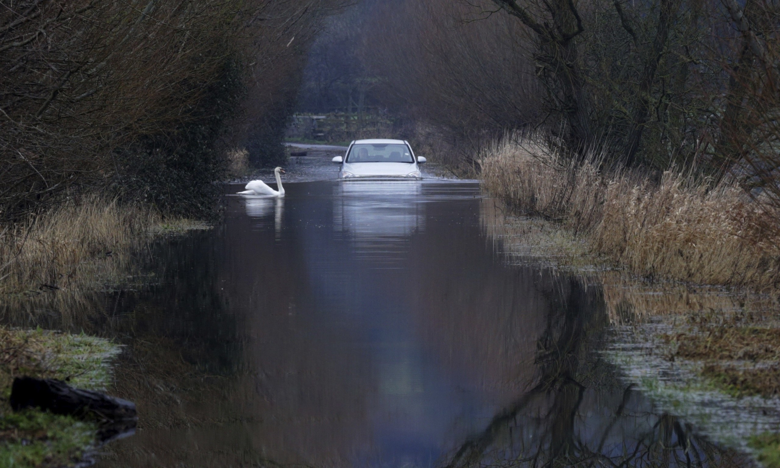 UK floods: MoD steps in to send army to Somerset Levels ...