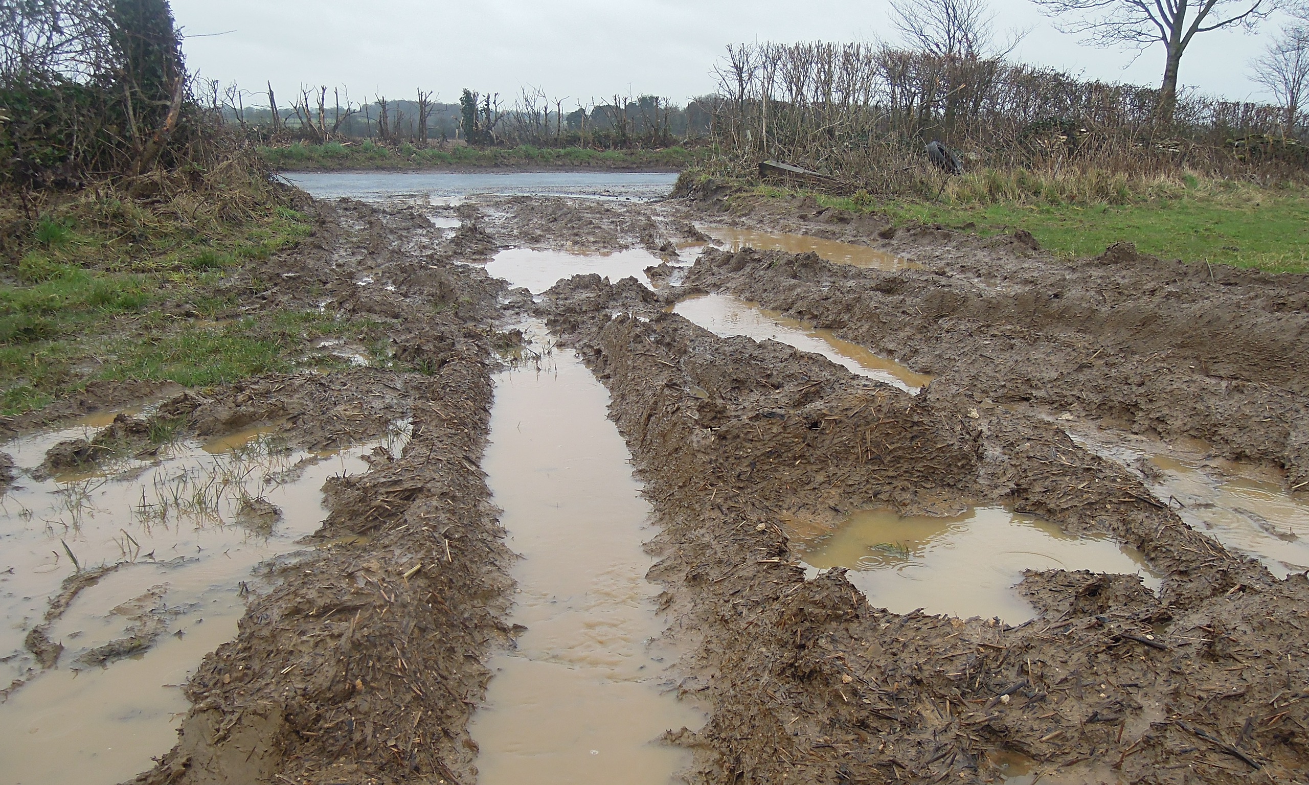 How We Ended Up Paying Farmers To Flood Our Homes George Monbiot 