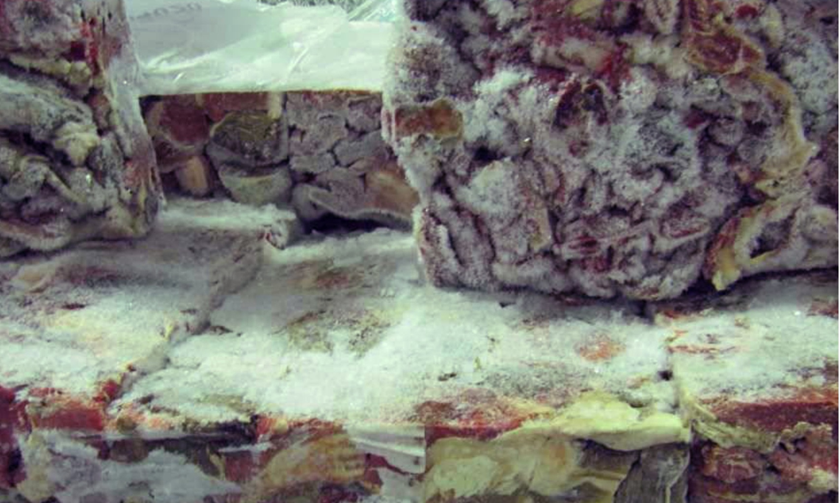 Rotting meat at Irish factory 'destined for burgers', Polish report