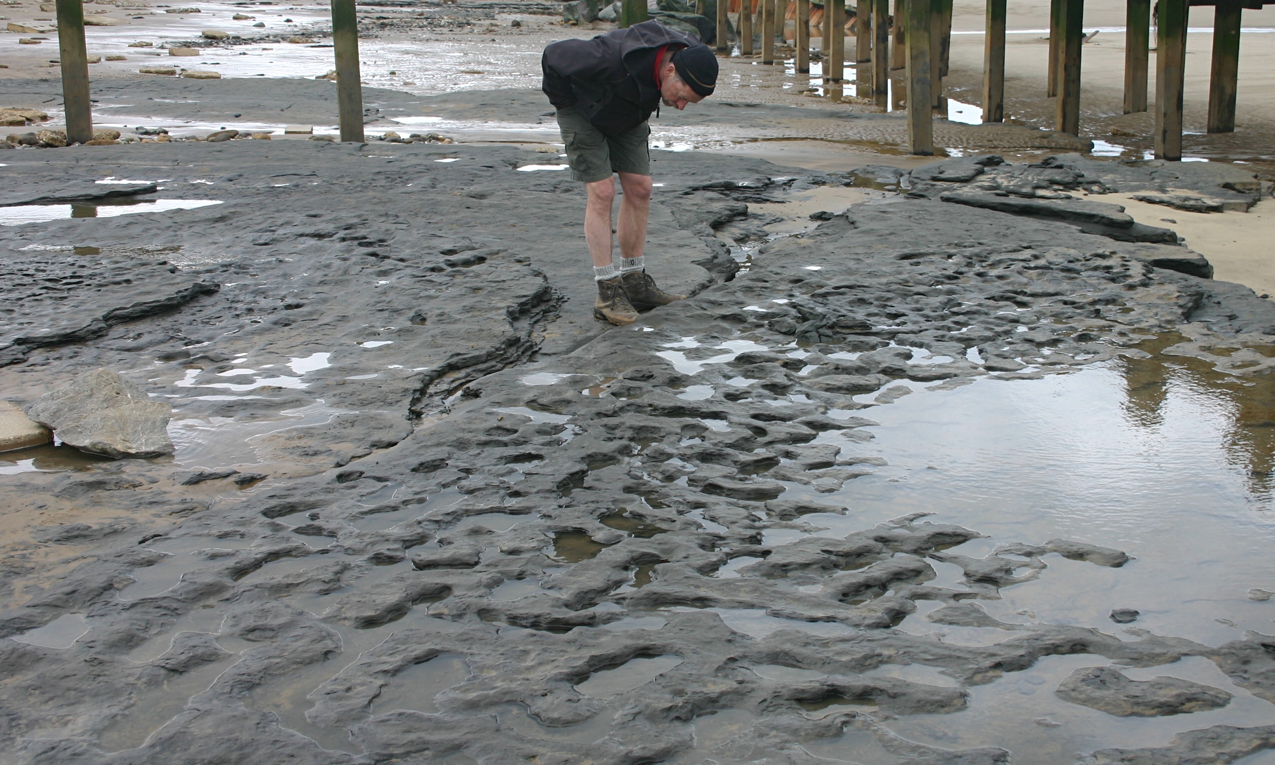 oldest-human-footprints-discovered-in-tanzania-offer-amazing-insight