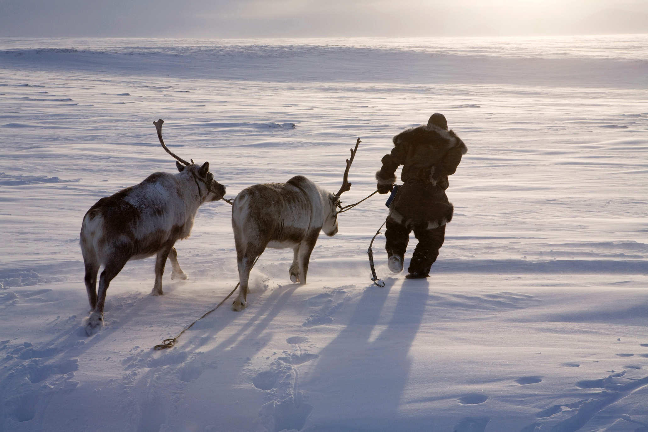 Traditional Life In The Siberian Arctic In Pictures World News The Guardian