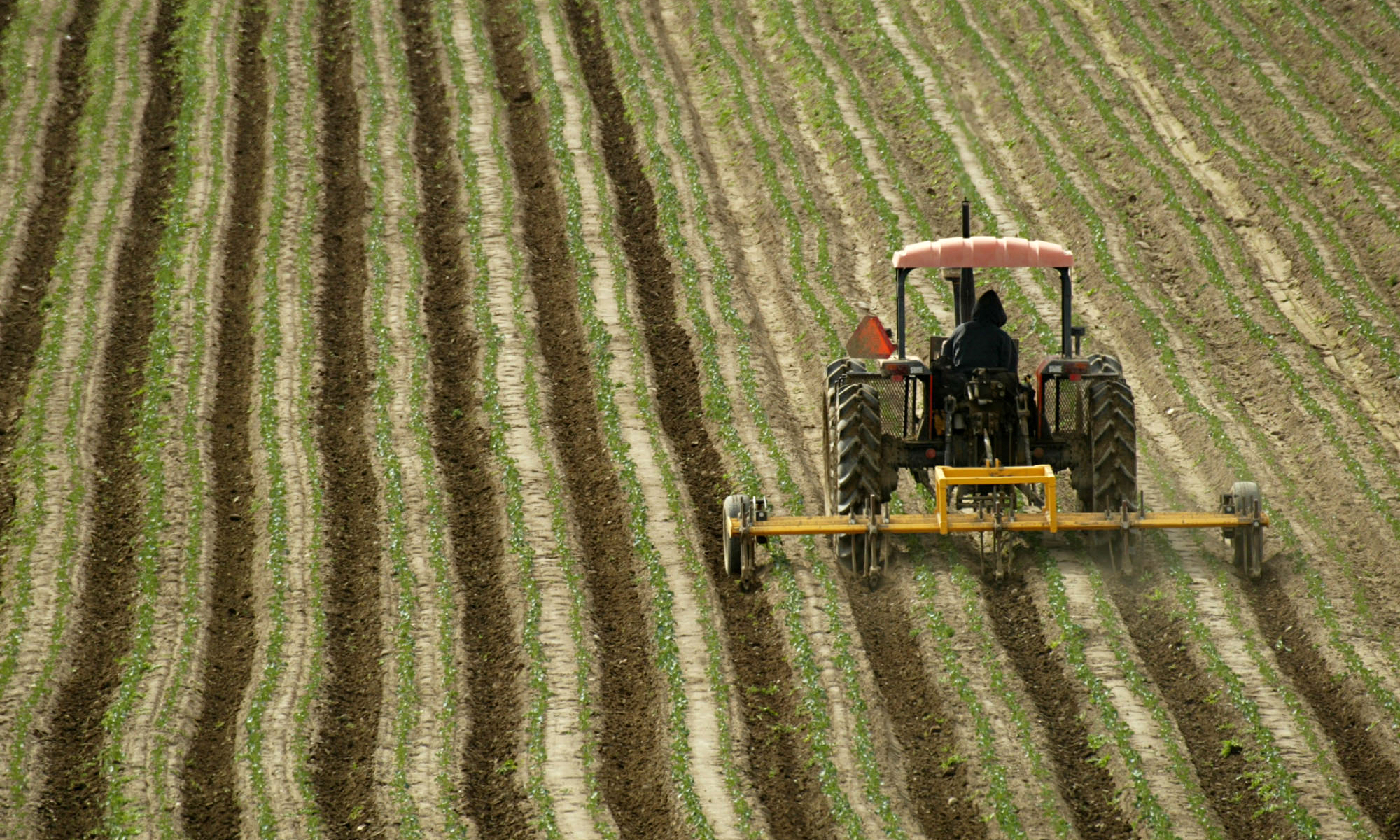 Subsistence Farming Agriculture Britannicacom