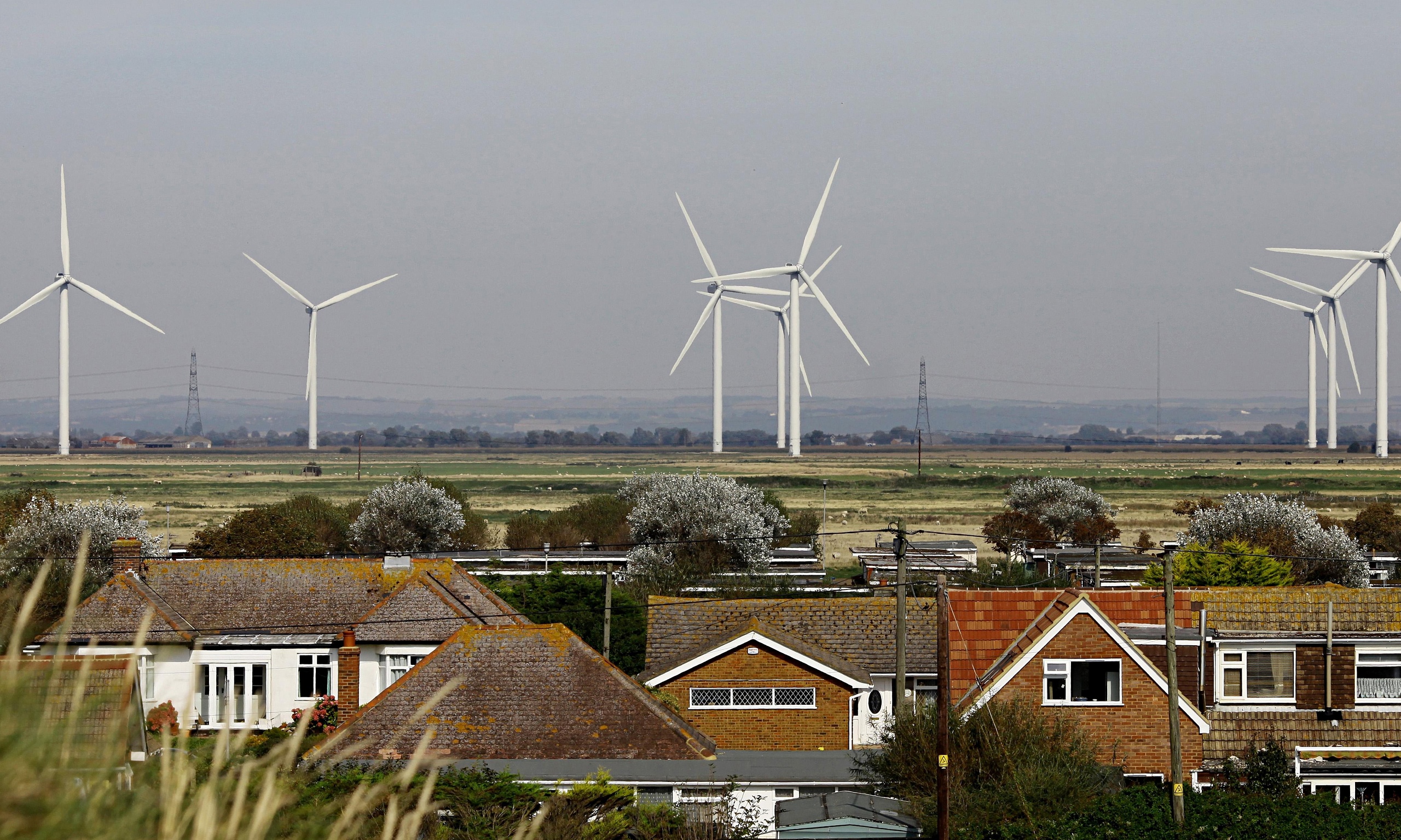 Green uk. Romney Sands.