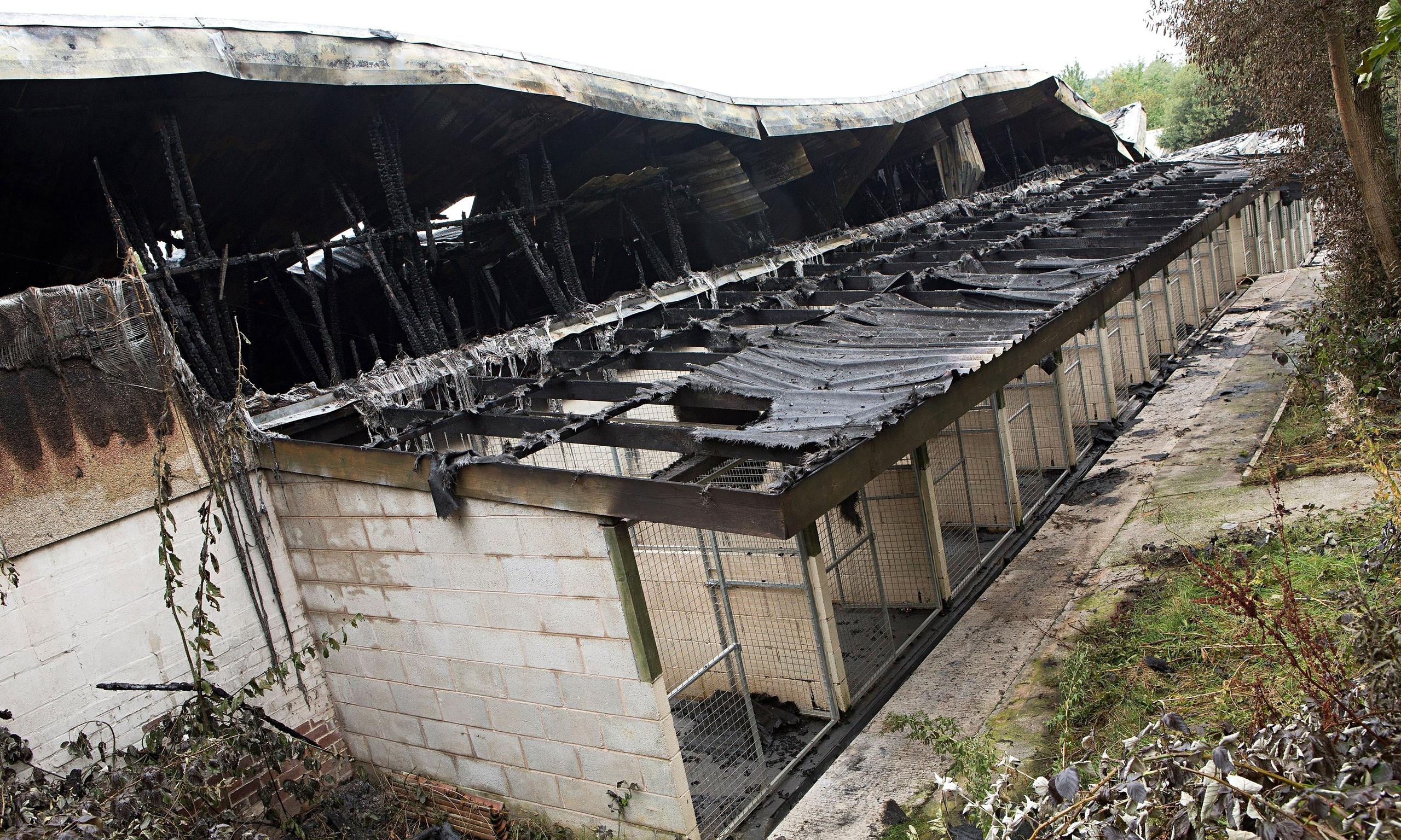 Manchester Dogs' Home fire: 15-year-old boy released on bail UK news