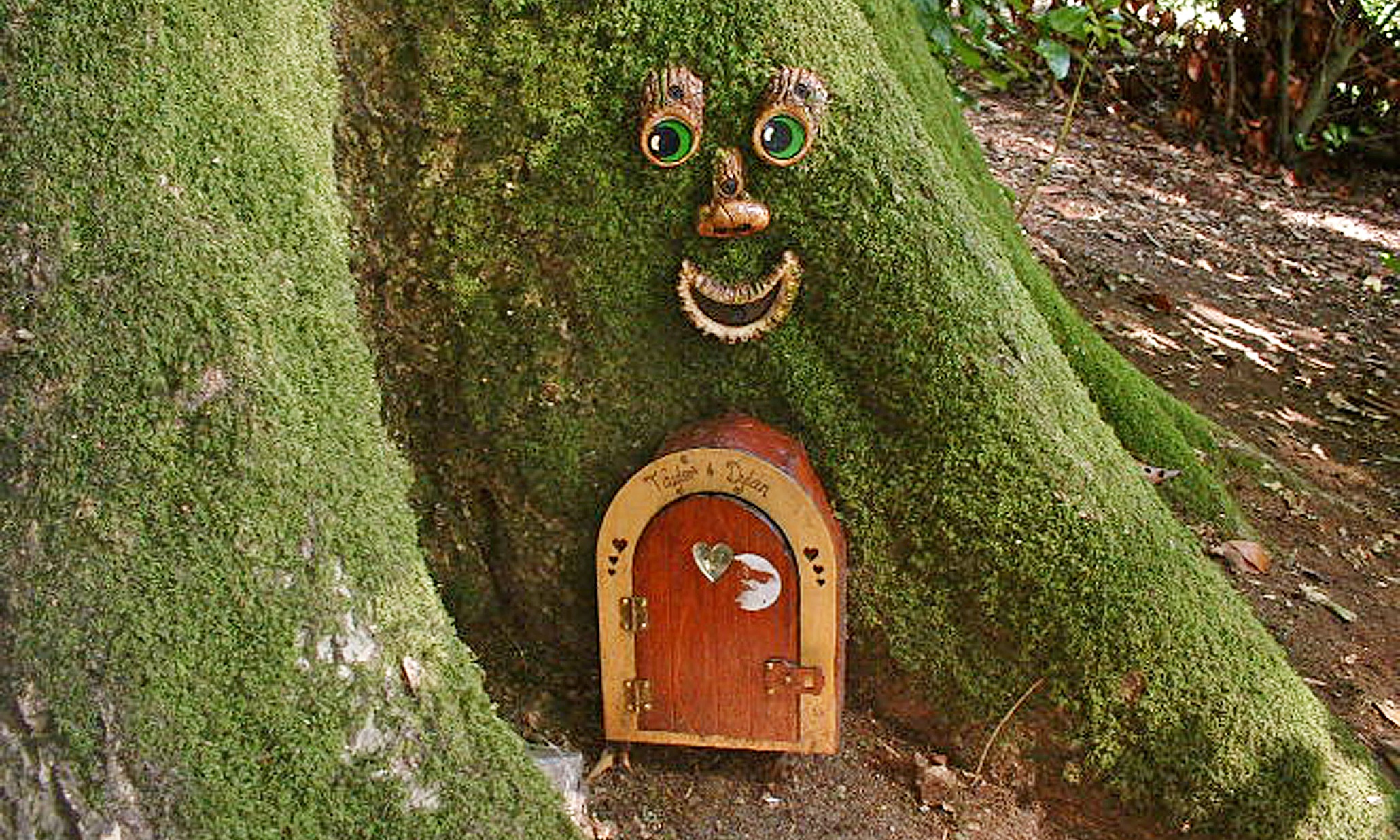 ethie fairy arbroath woods door do need the to fairies: relearn Donât away our with we ethie fairy arbroath woods door do need the to fairies: relearn Donât away our with we