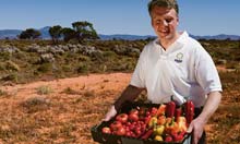 The guardian Growing food in the desert: is this the solution to the world's food c</a></div></div><div style=