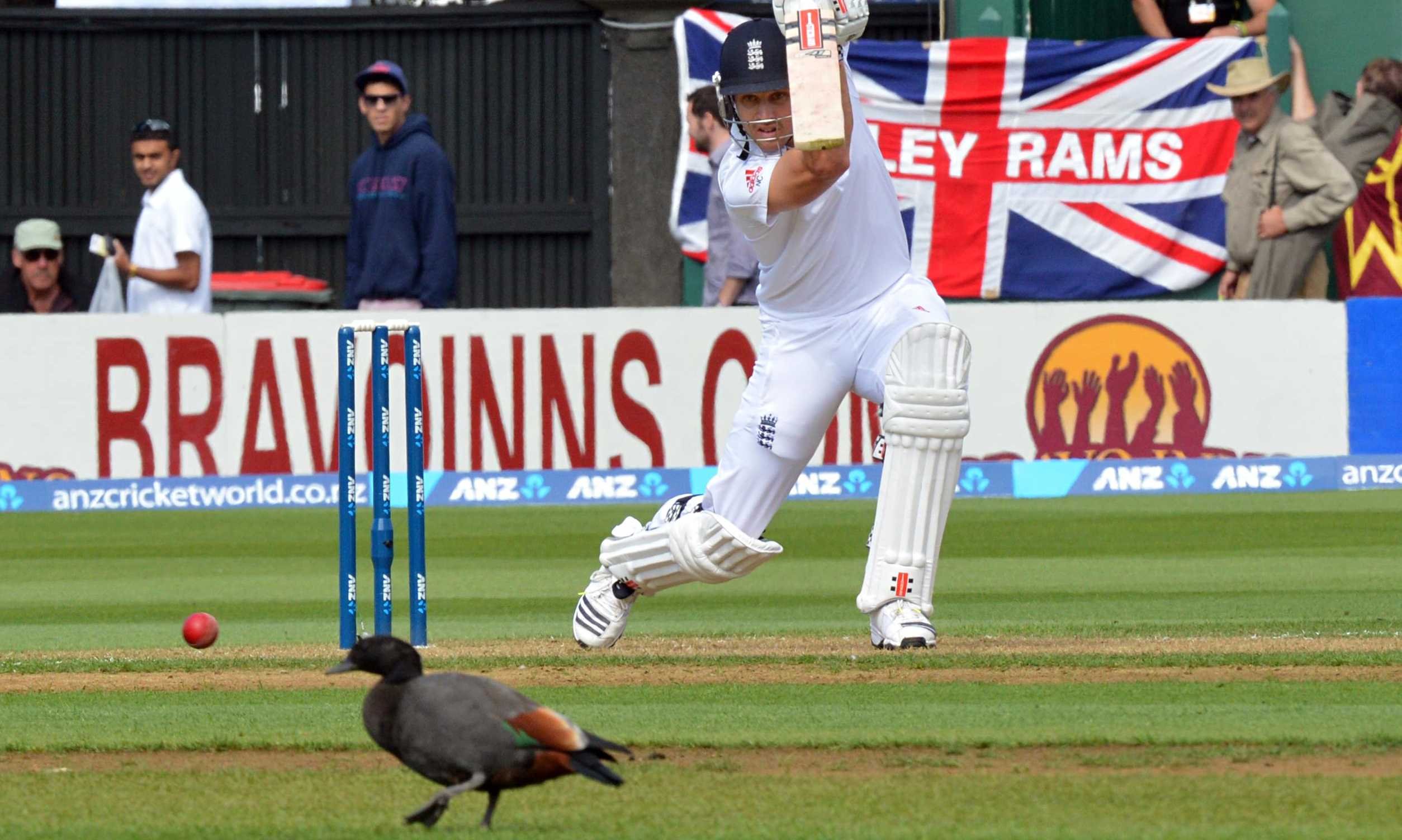 Somerset's Nick Compton determined to regain England Test place