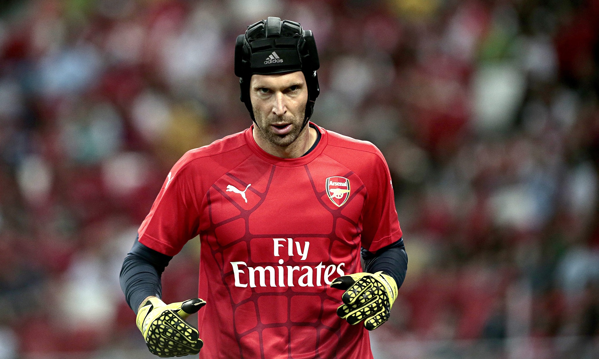 cech