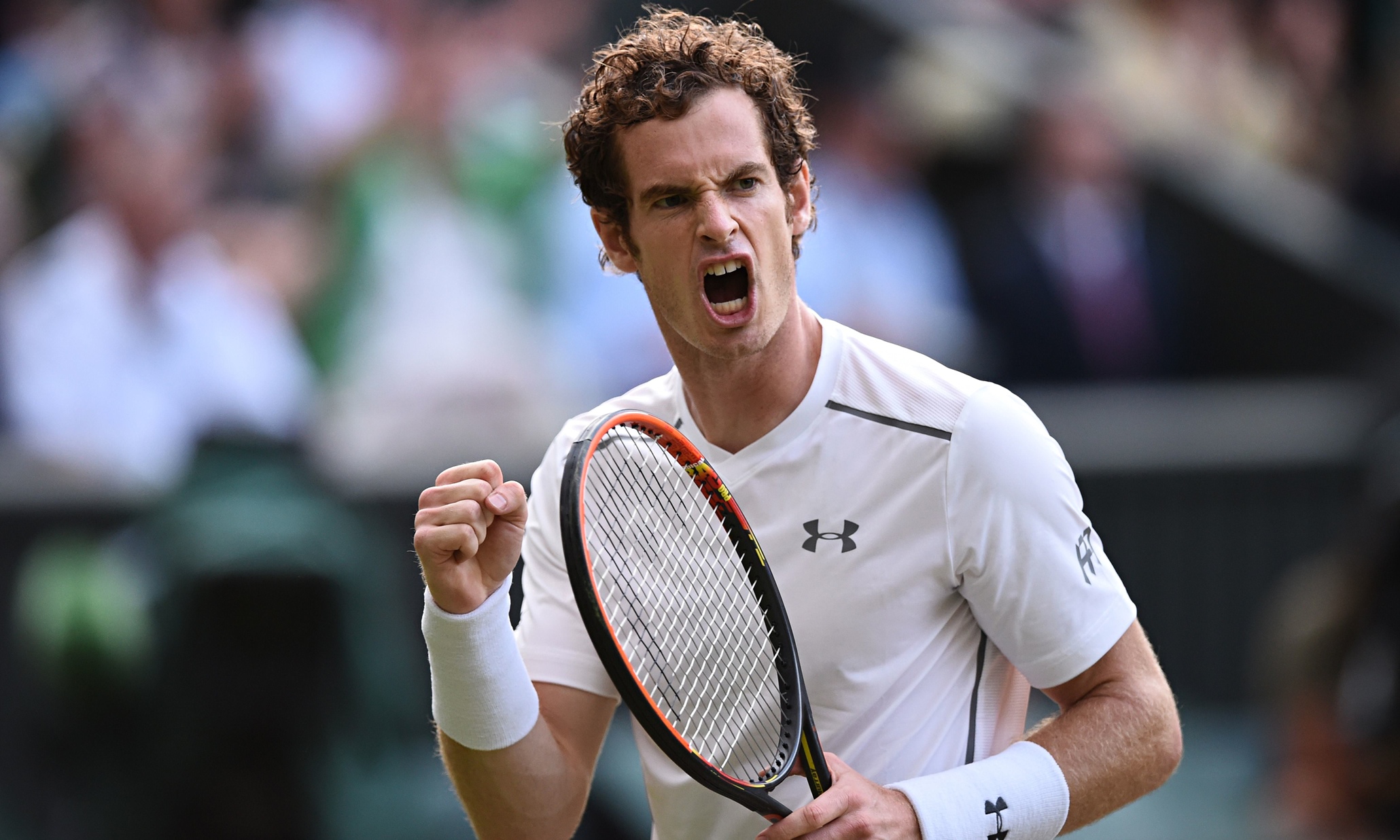 Andy Murray Net Worth