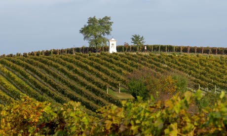 https://static-secure.guim.co.uk/sys-images/Travel/Pix/gallery/2011/11/9/1320847372383/vineyard-Southern-Moravia-007.jpg